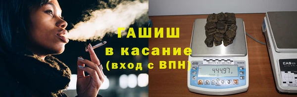 индика Белоозёрский