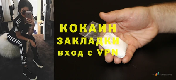 индика Белоозёрский