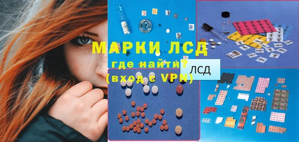 гидра Богородицк