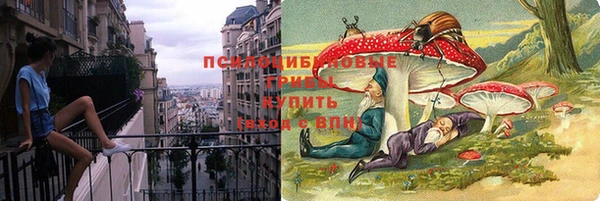 индика Белоозёрский