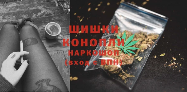 индика Белоозёрский