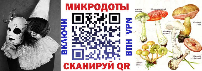 Галлюциногенные грибы ЛСД Кушва